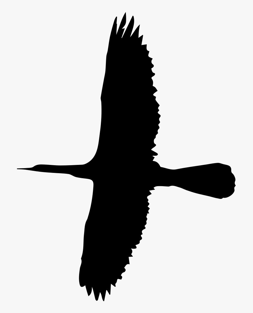 Flying Big Bird Shape, HD Png Download, Free Download