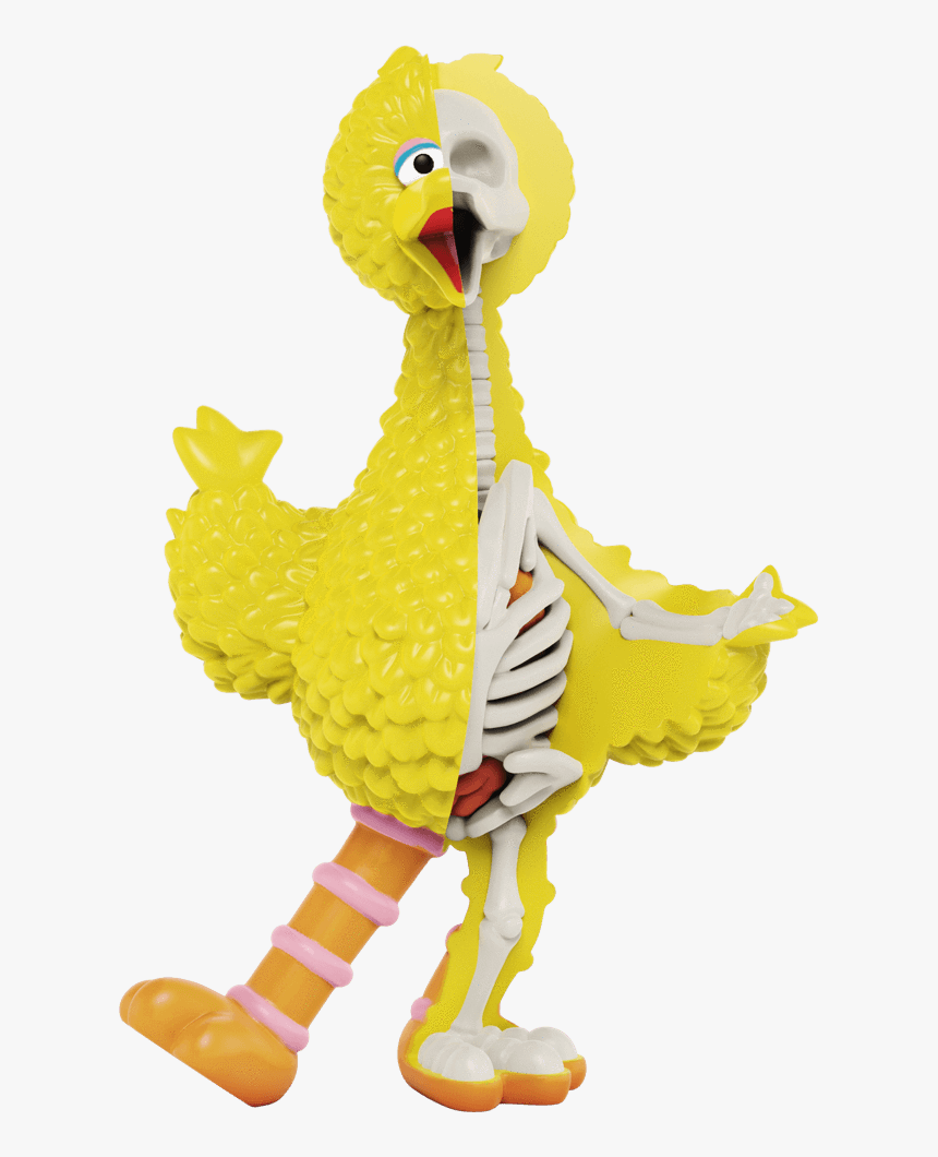 Big Bird Png, Transparent Png, Free Download