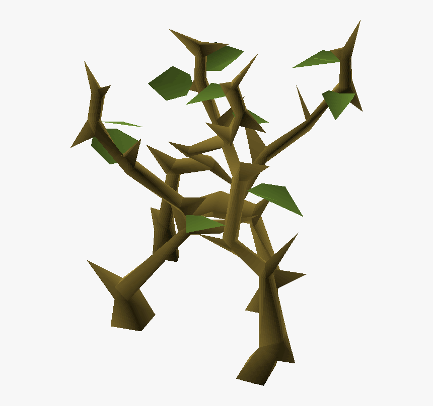 Jungle Png, Transparent Png, Free Download