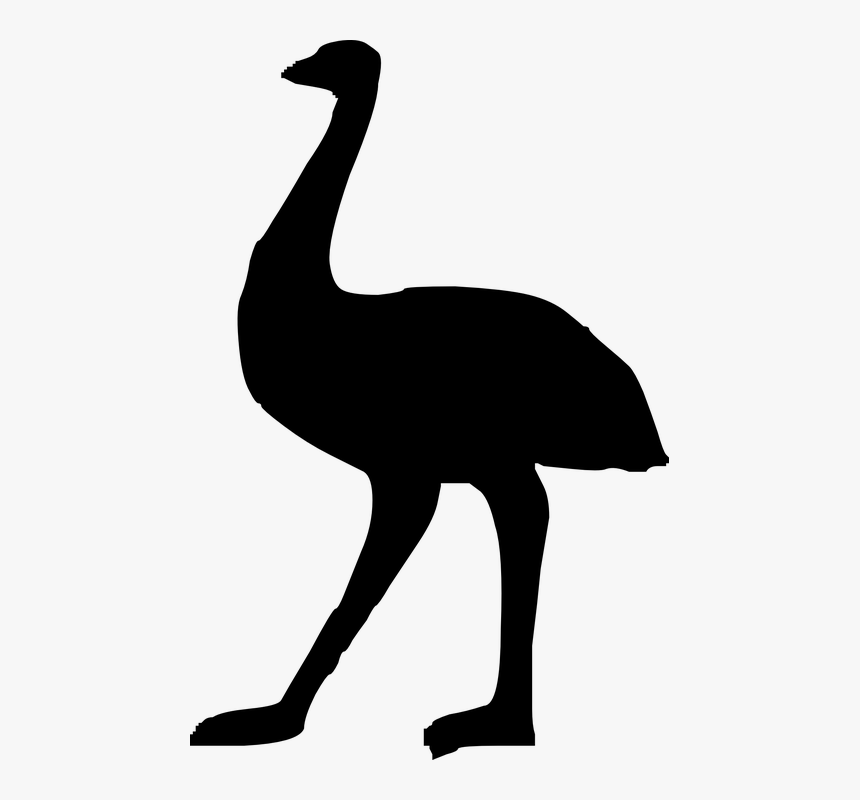 Emu, Ostrich, Bird, Large, Australia, Silhouette, Big, HD Png Download, Free Download