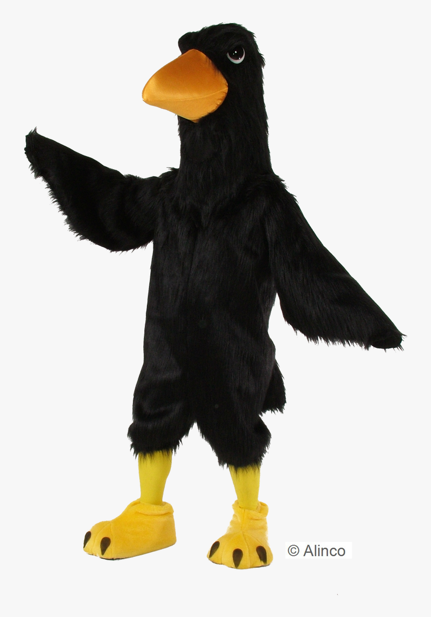 Black Big Bird , Png Download, Transparent Png, Free Download