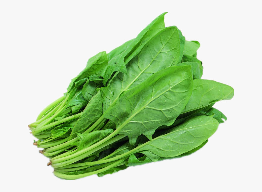 Spinach Png, Transparent Png, Free Download