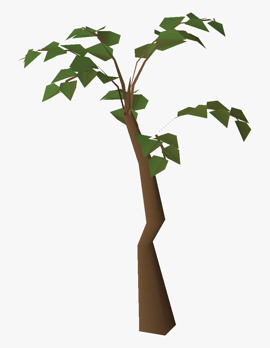 Jungle Png, Transparent Png, Free Download