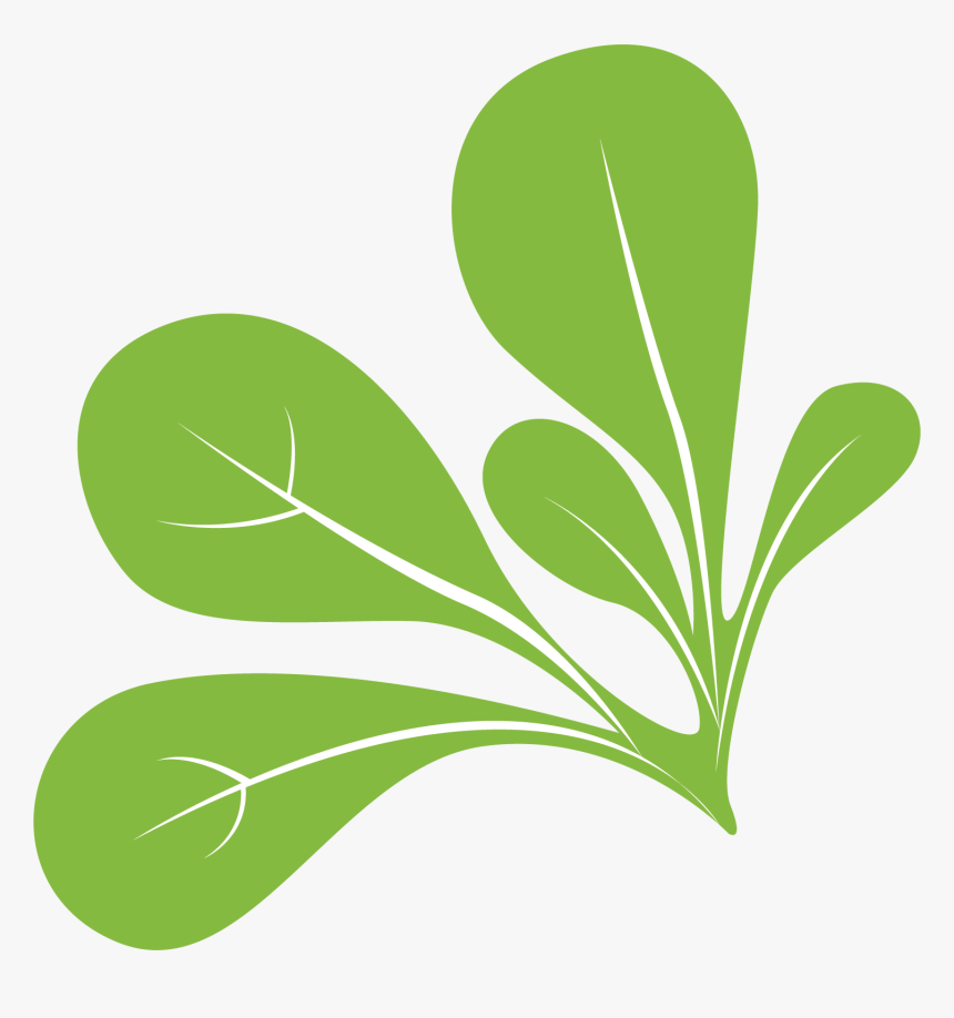 Spinach Png, Transparent Png, Free Download