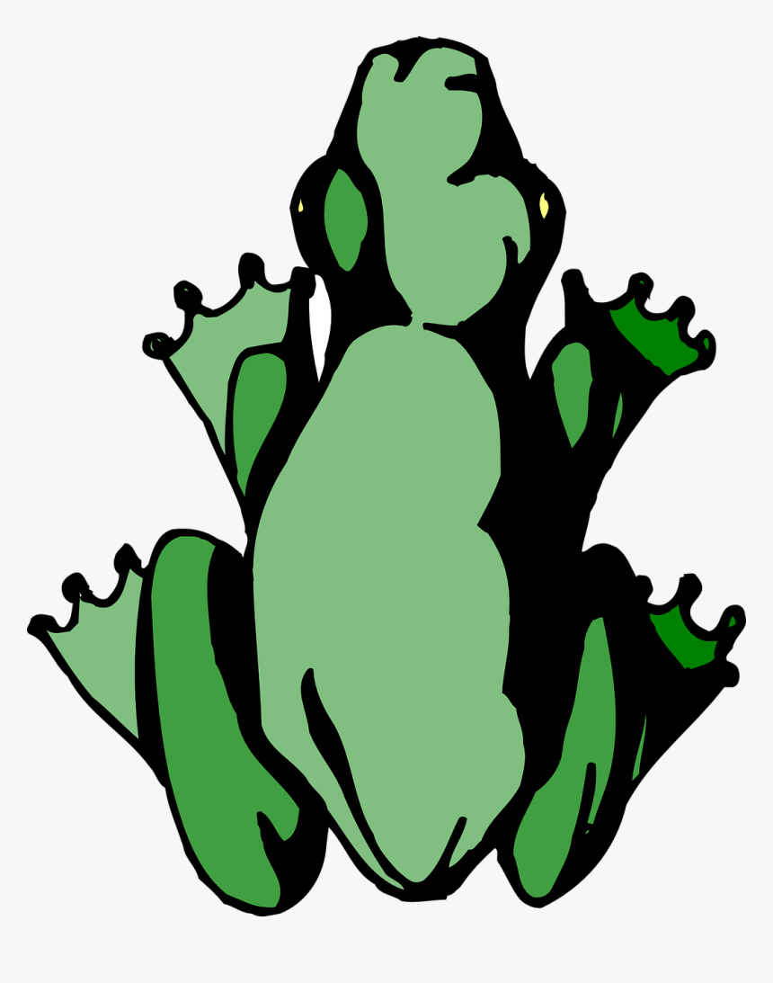 Jungle Png, Transparent Png, Free Download