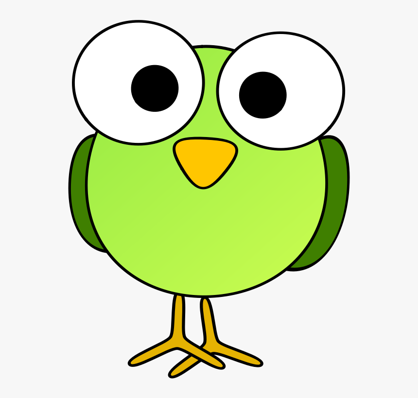 Green Googley-eye Bird, HD Png Download, Free Download