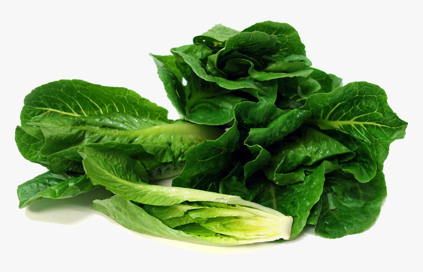 Romaine Lettuce Transparent Image, HD Png Download, Free Download