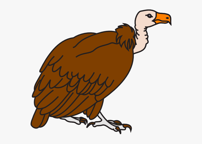 Big Brown Vulture Svg Clip Arts, HD Png Download, Free Download