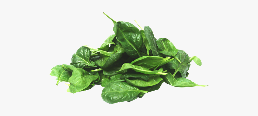 Spinach Png, Transparent Png, Free Download