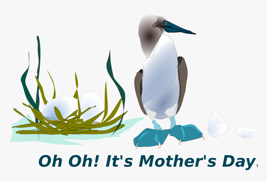 Sea Bird Clip Arts, HD Png Download, Free Download