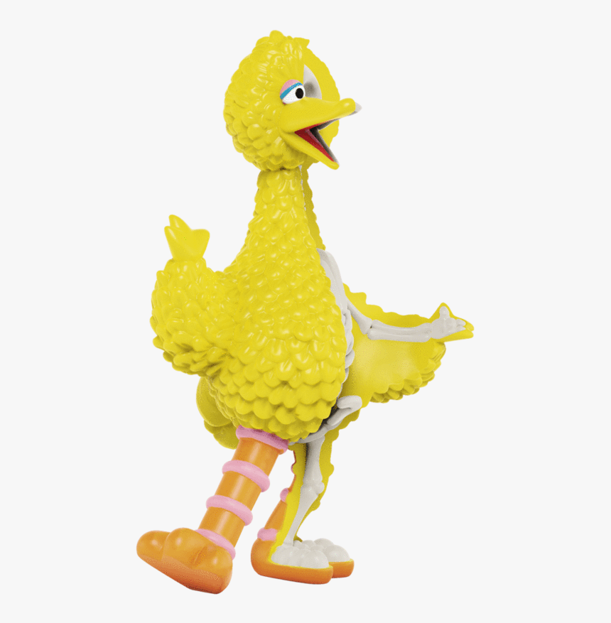 Big Bird Png, Transparent Png, Free Download