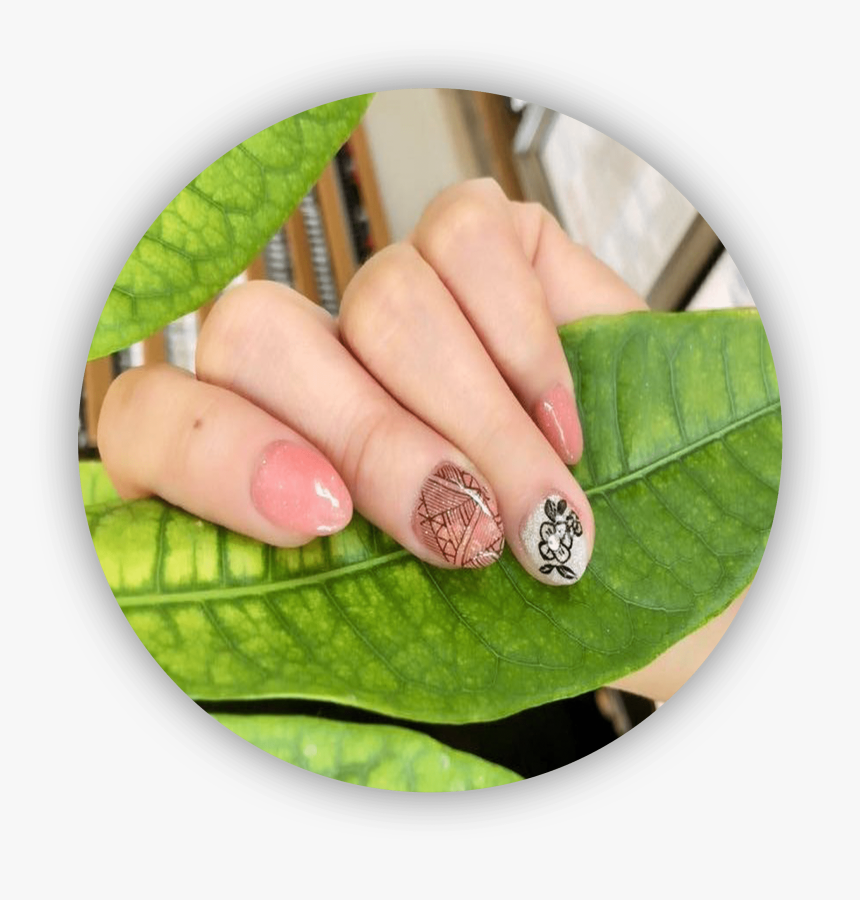 Green Hand Leaf, HD Png Download, Free Download