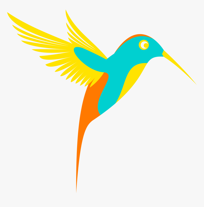 Colors Clipart Bird, HD Png Download, Free Download