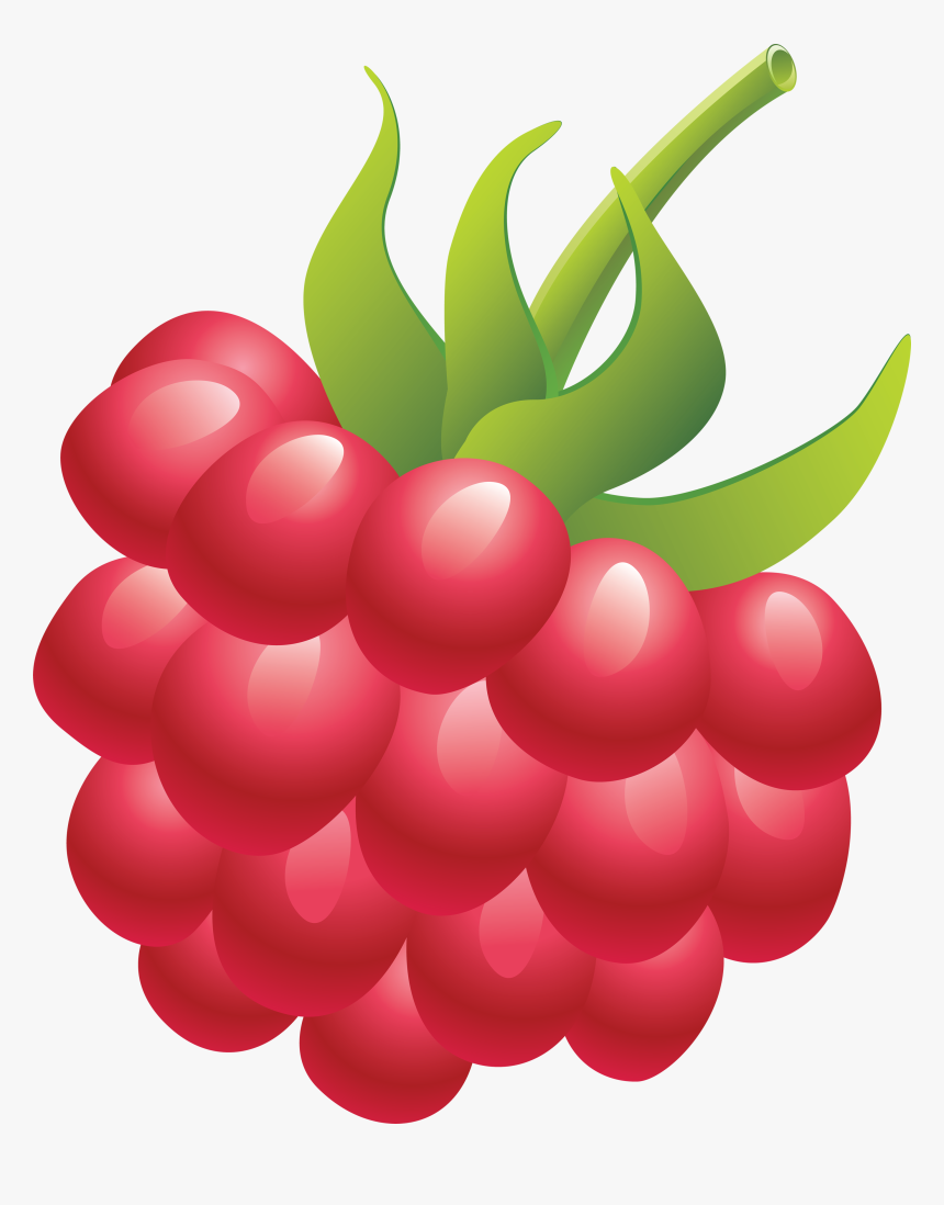 Raspberry Png Image, Transparent Png, Free Download