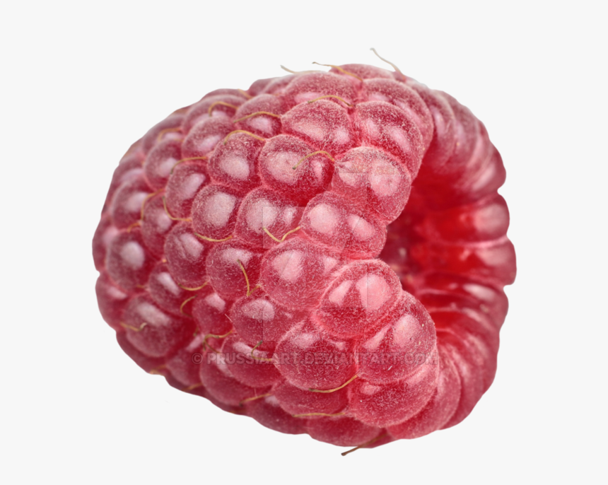 Transparent Raspberries Png, Png Download, Free Download