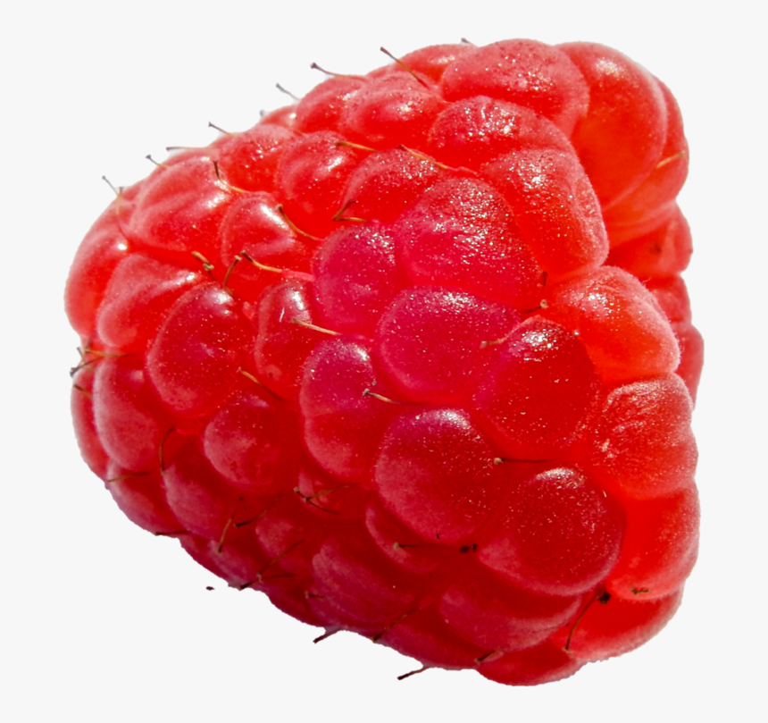 Raspberry Free Transparent Images, HD Png Download, Free Download