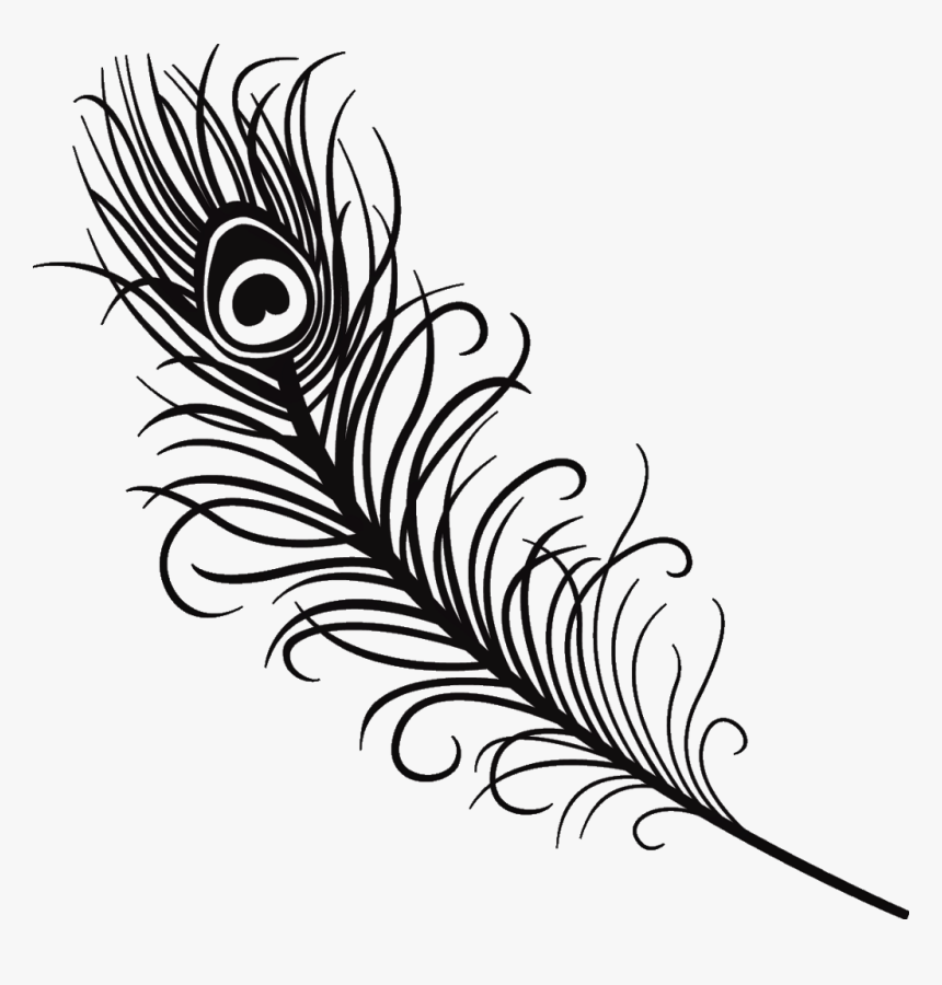 Silhouette Feather Peacock Peacockfeather Black Love, HD Png Download, Free Download