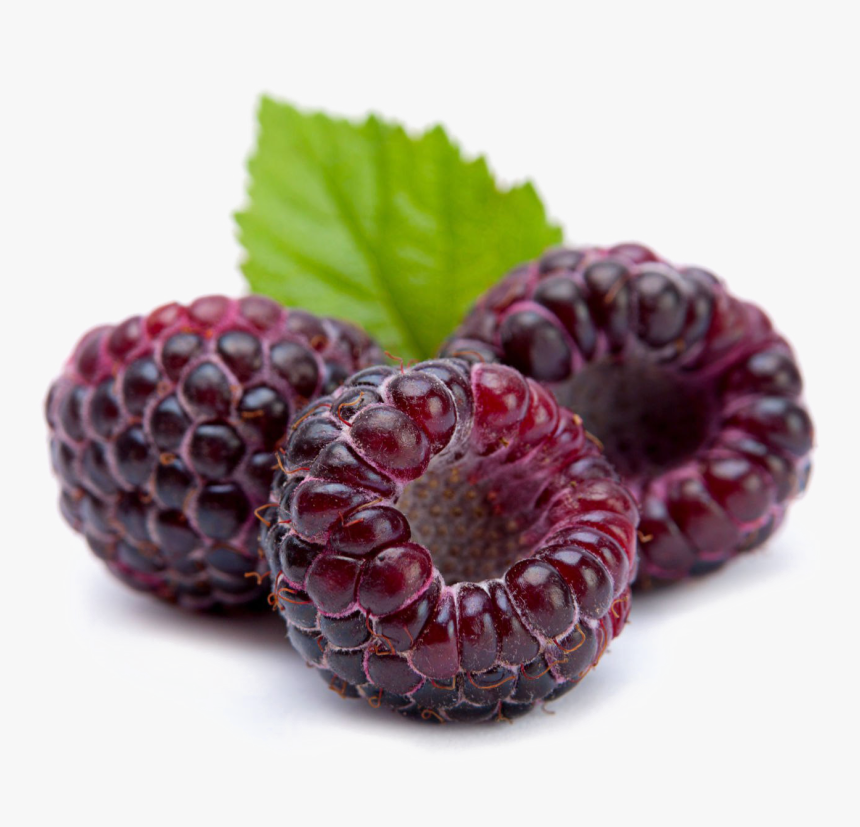 Raspberry Png Image Background, Transparent Png, Free Download