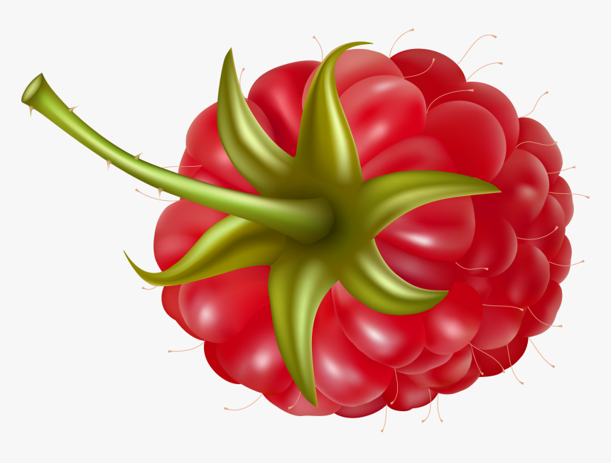 Raspberry Png Image, Transparent Png, Free Download