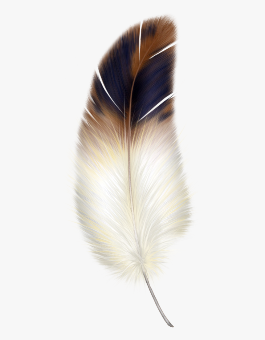 Feather Clip Art Vector Clipartcow Clipartix, HD Png Download, Free Download