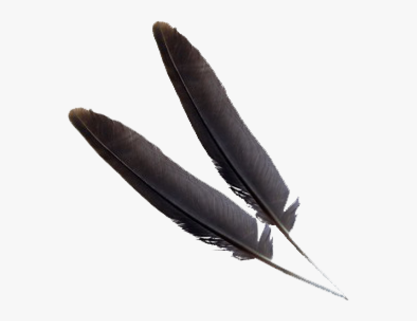 Black Png Feather Download, Transparent Png, Free Download