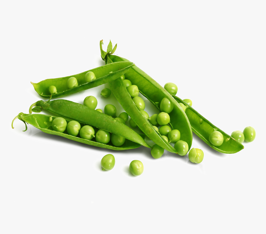 Green Bean Png, Transparent Png, Free Download