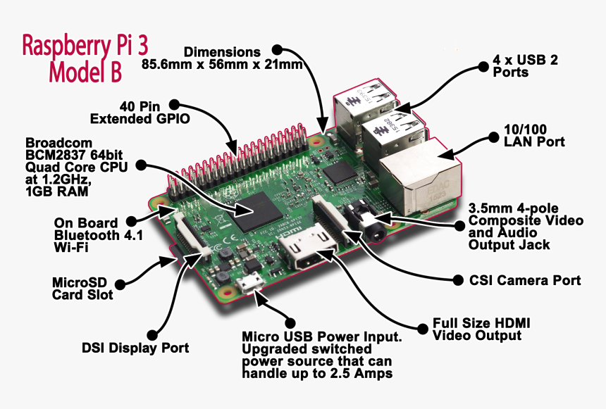 Raspberry Png, Transparent Png, Free Download