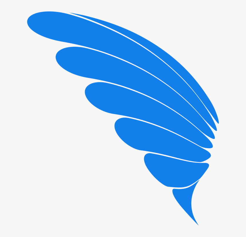 Blue,electric Blue,feather, HD Png Download, Free Download