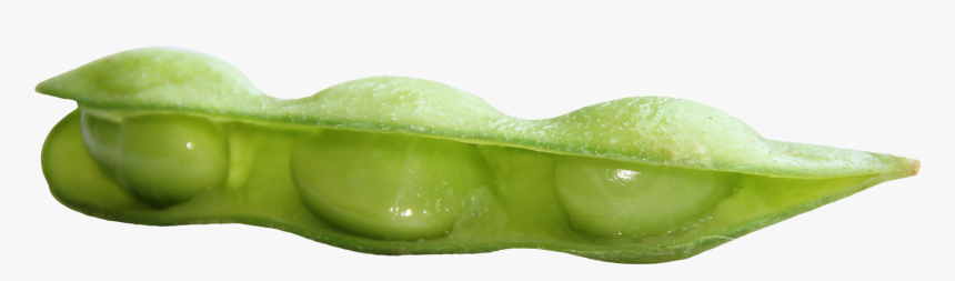 Broad-bean, HD Png Download, Free Download