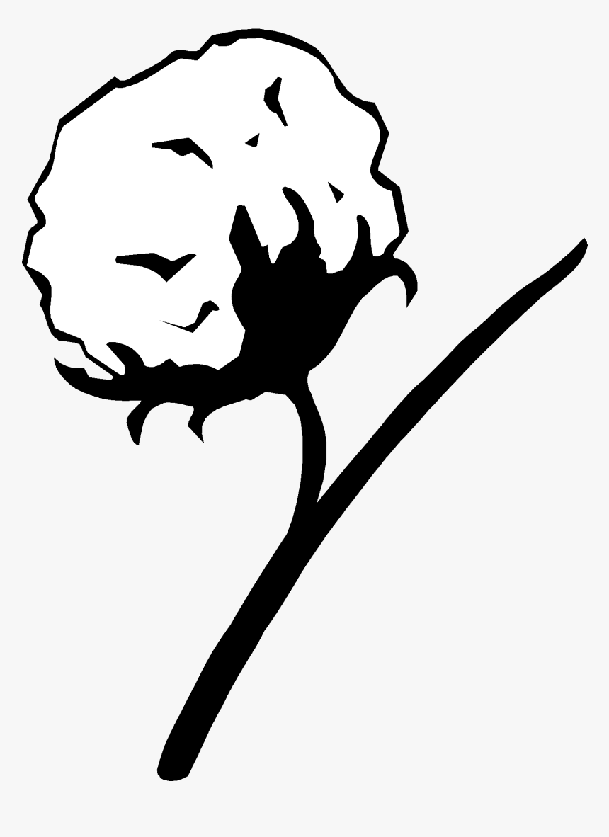 Cotton Plant Drawing , Png Download, Transparent Png, Free Download