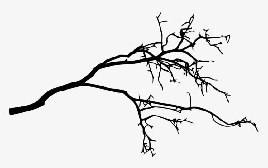 Branch Silhouette Drawing, HD Png Download, Free Download