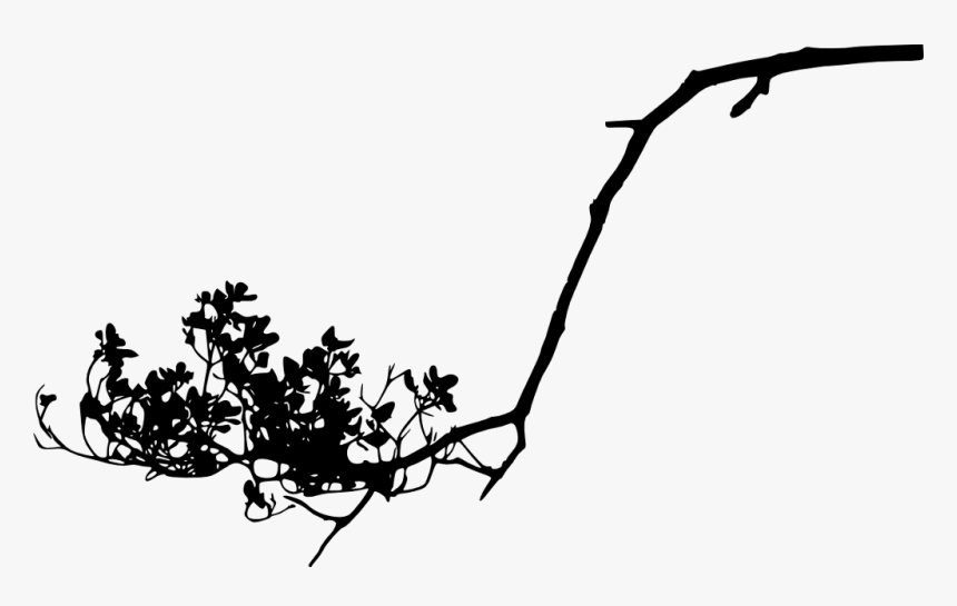 #freetoedit #tree #branch #silhouette #4trueartists, HD Png Download, Free Download