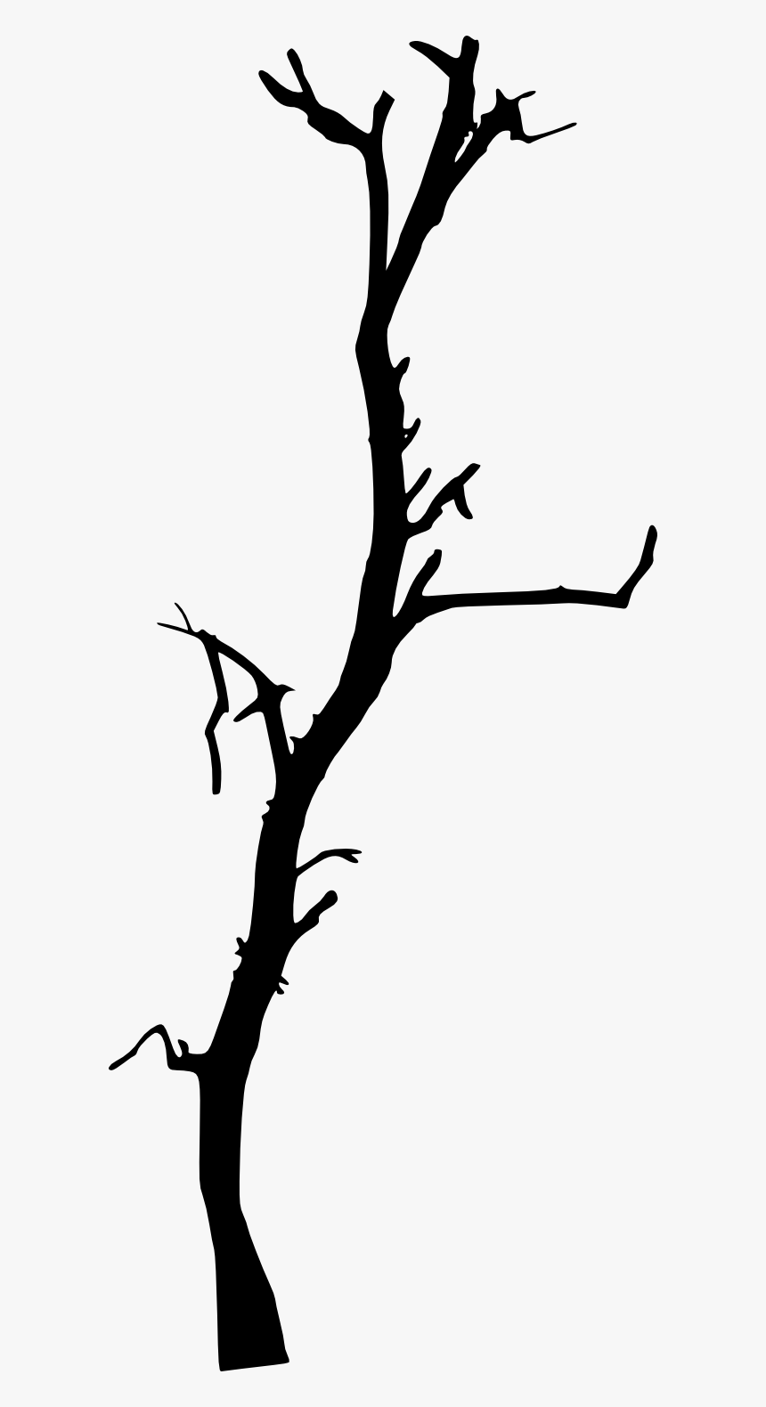 Portable Network Graphics Tree Clip Art Branch Silhouette, HD Png Download, Free Download