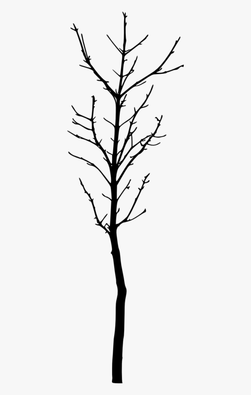 Bare Tree Silhouette, HD Png Download, Free Download