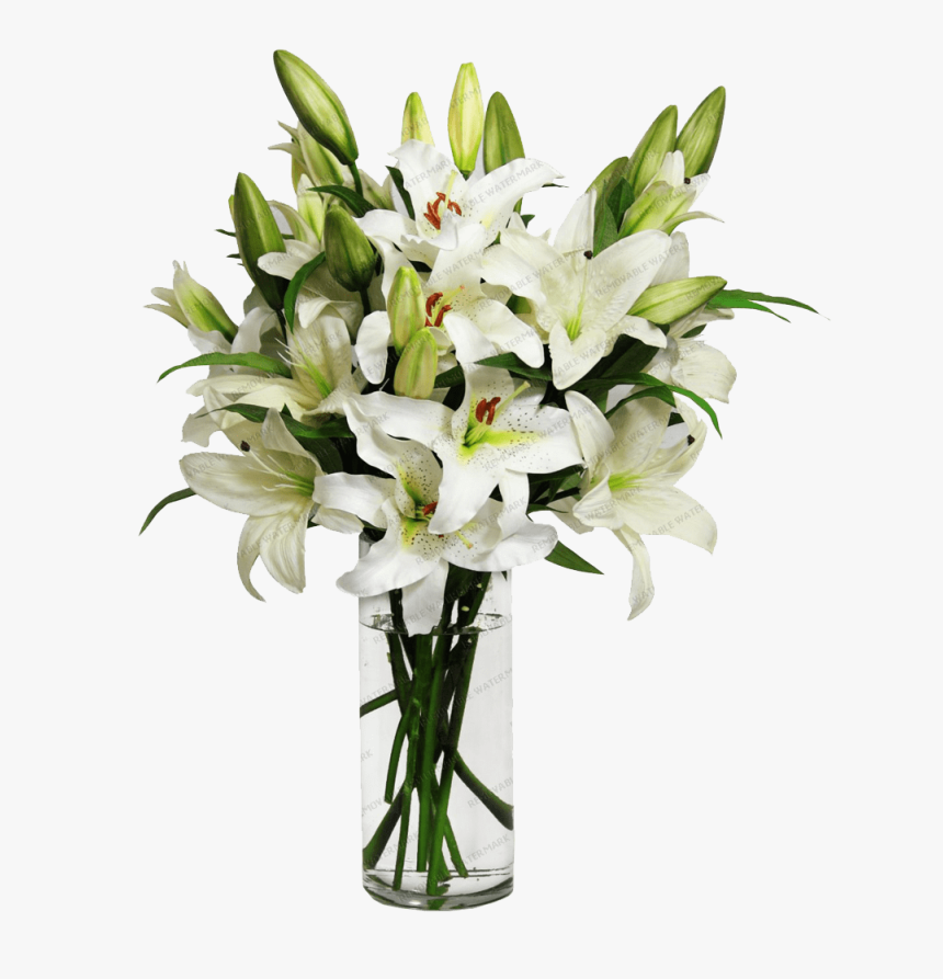 Lilies In A Vase, HD Png Download, Free Download