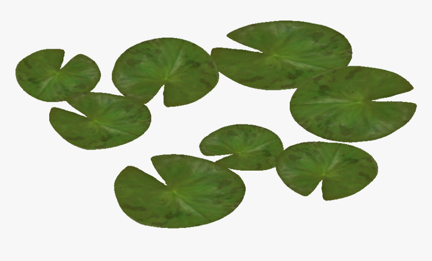 Download Water Lily Png Pic, Transparent Png, Free Download