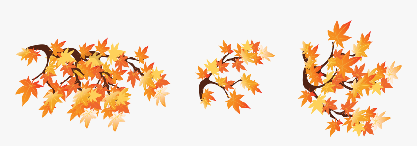 Thanksgiving Leaves Png, Transparent Png - kindpng