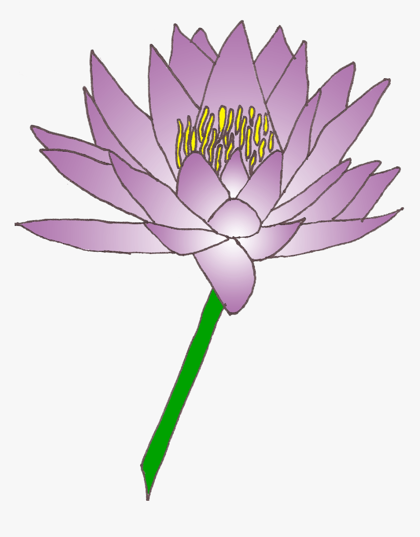 Water Lily Cliparts Png, Transparent Png, Free Download