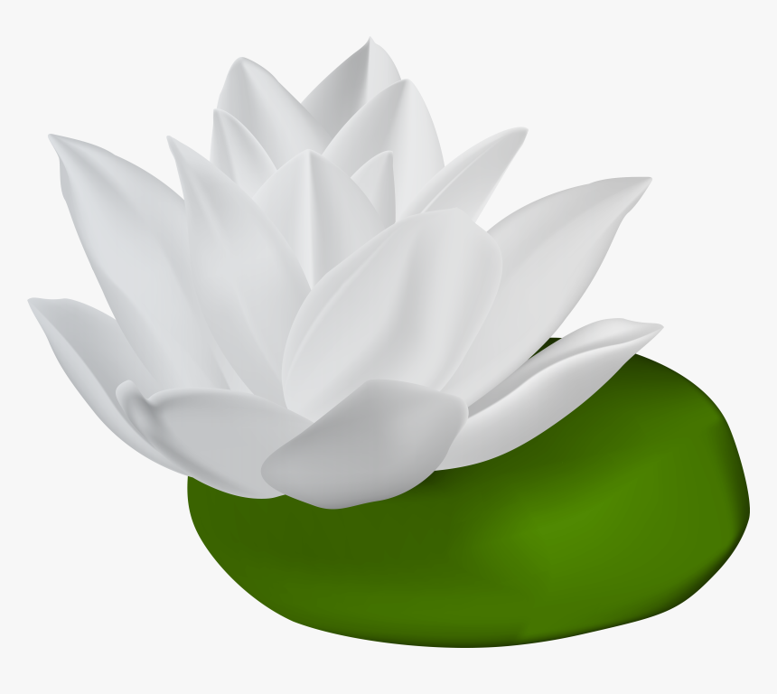 White Water Lily Transparent Png Clip Art Image, Png Download, Free Download