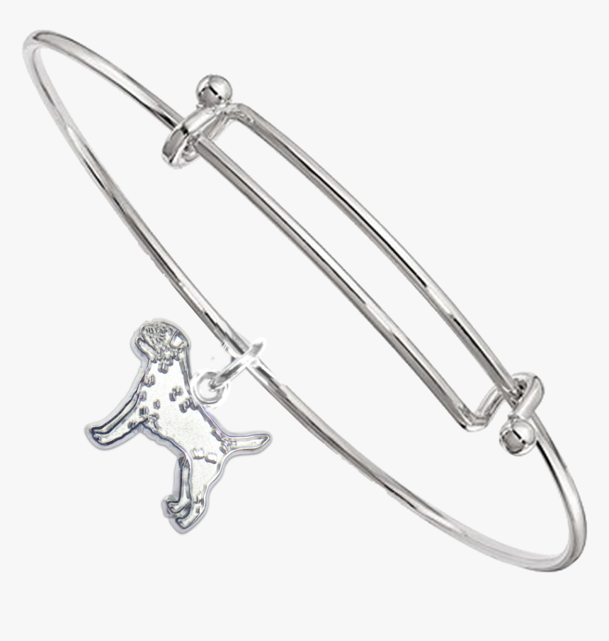 Sterling Silver Border Terrier Charm On Bangle Bracelet, HD Png Download, Free Download