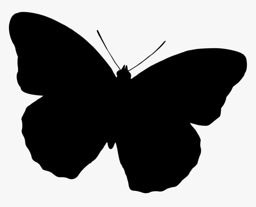 Butterfly Silhouette Png, Transparent Png, Free Download