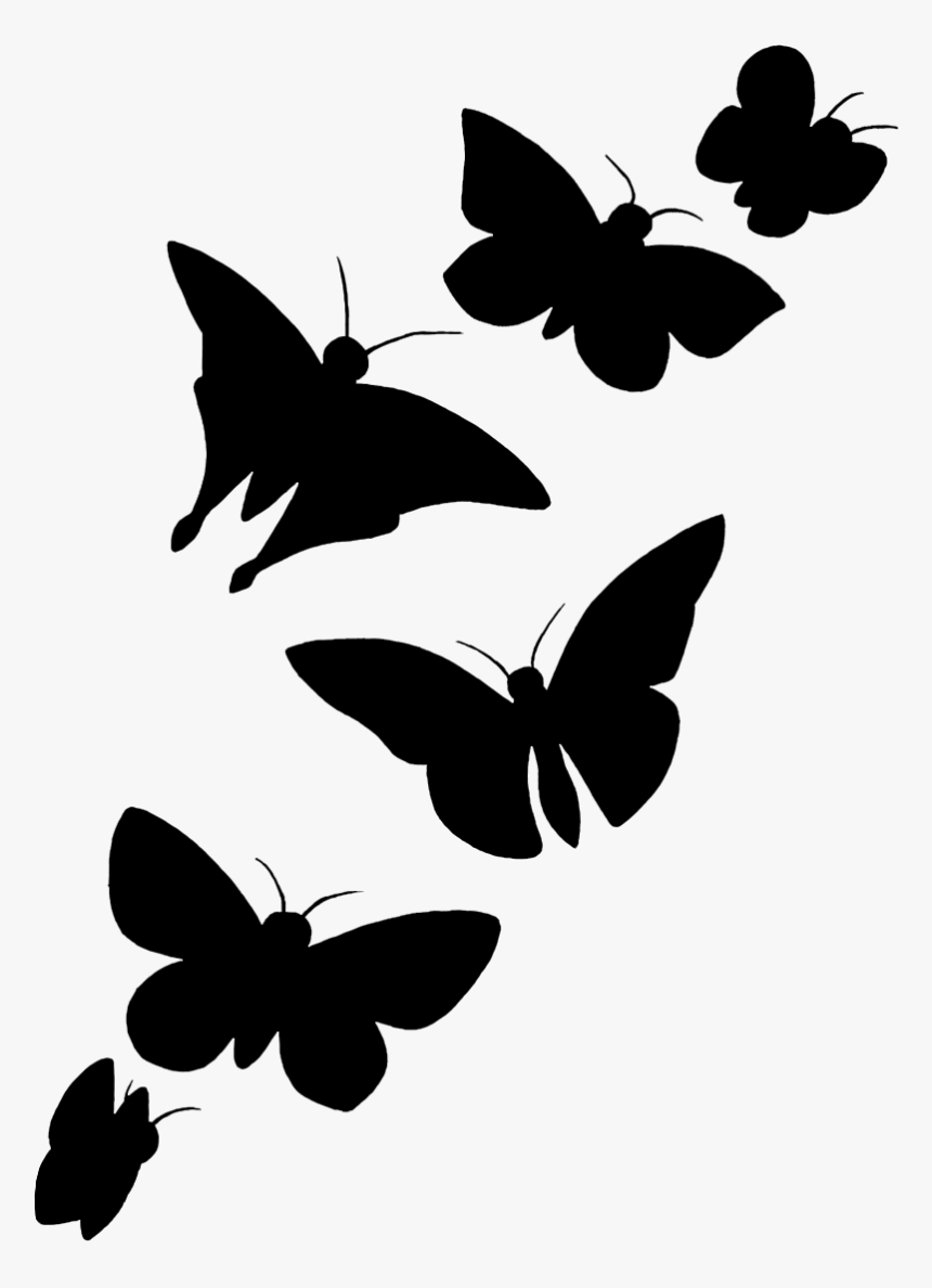 Butterfly Silhouette Png, Transparent Png, Free Download