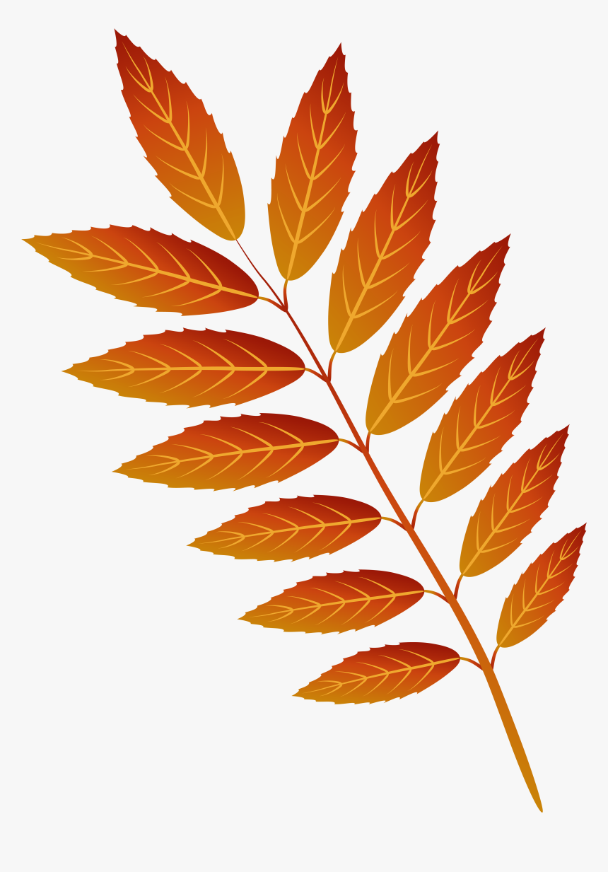 Leaf Cliparts Png Orange, Transparent Png, Free Download