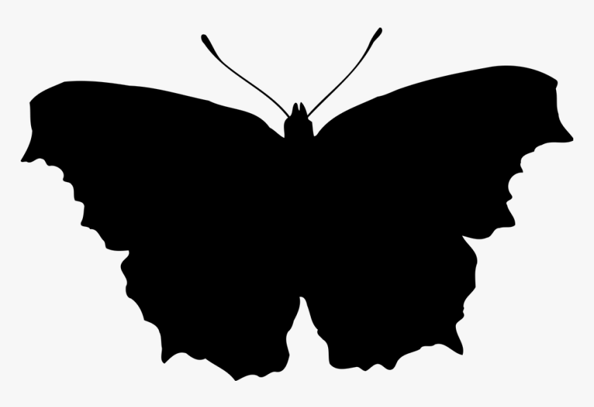 Animal, Butterfly, Insect, Silhouette, HD Png Download, Free Download