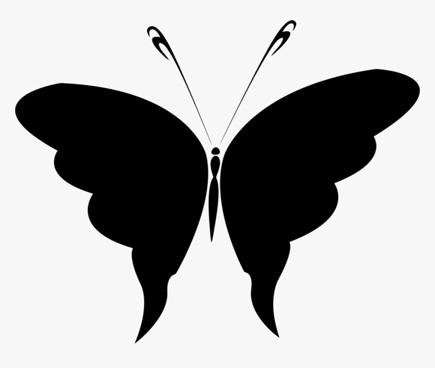 Butterfly,leaf,symmetry, HD Png Download, Free Download