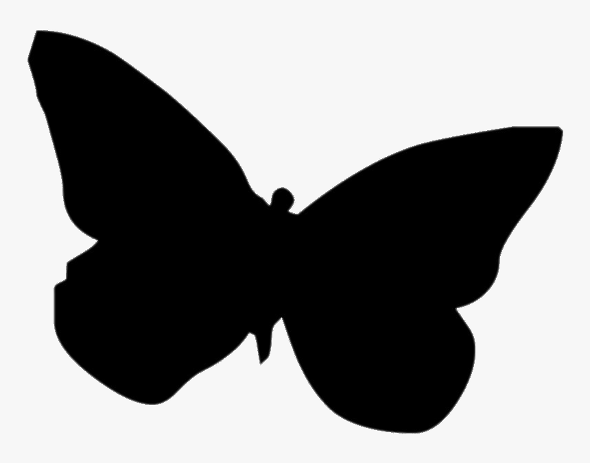 Butterfly, HD Png Download, Free Download