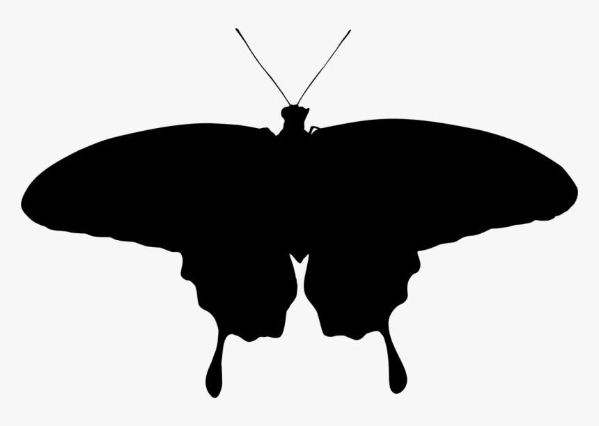 Butterfly Silhouette, HD Png Download, Free Download