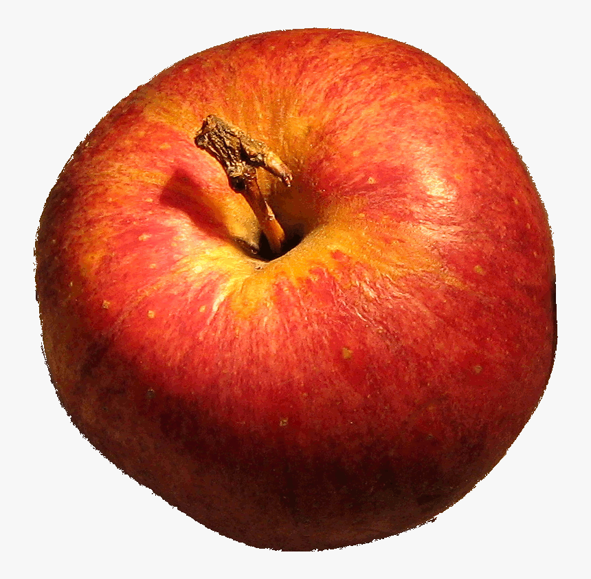 Fall Apples Png, Transparent Png, Free Download