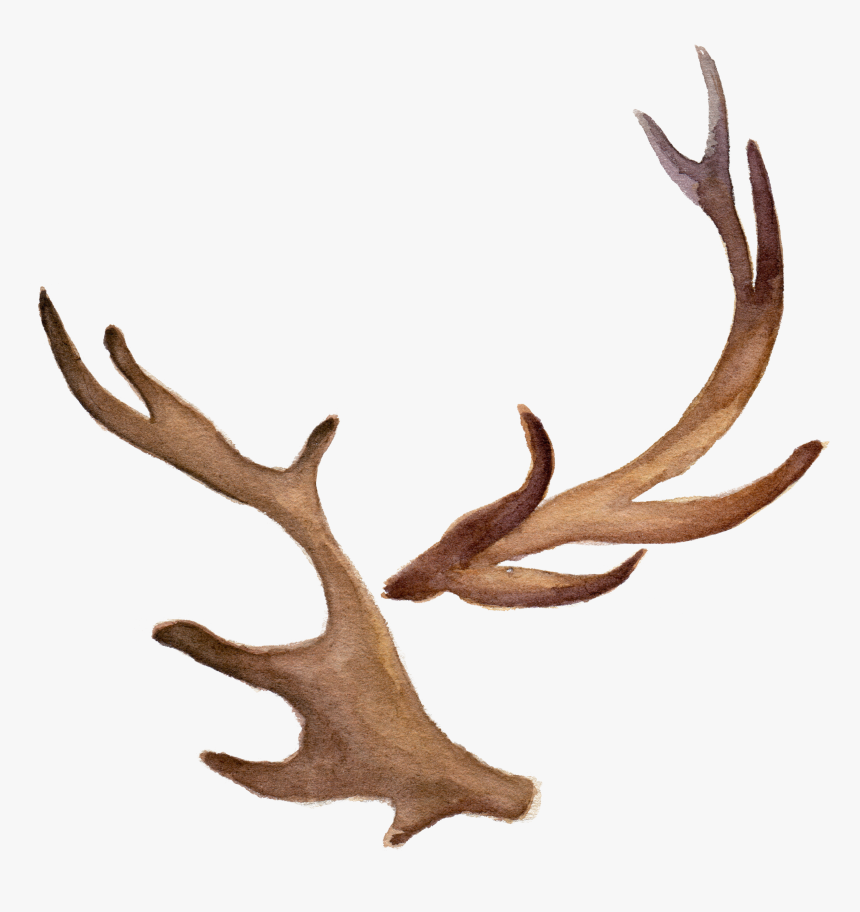 Hand-painted Watercolor Antlers Png Download, Transparent Png, Free Download