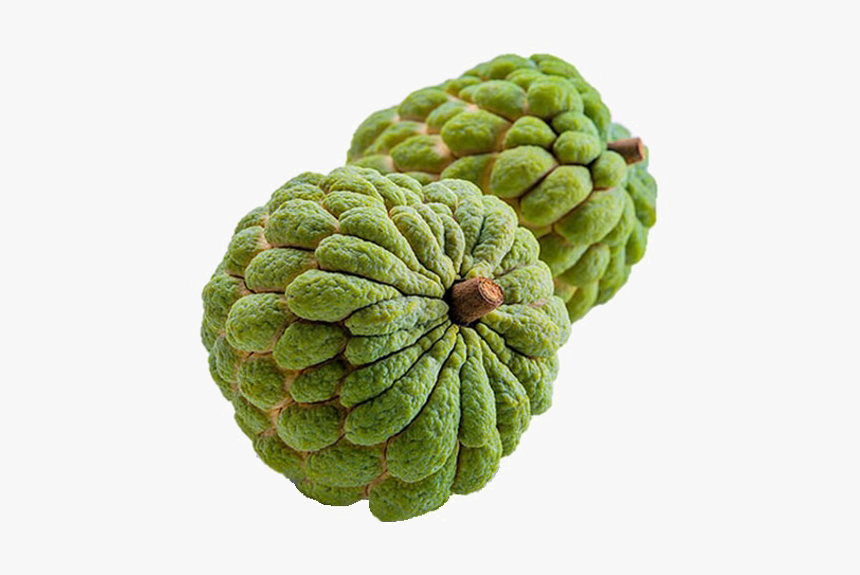 Sugar Apple Png Image Transparent, Png Download, Free Download